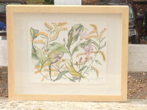 One of the late-summer series.