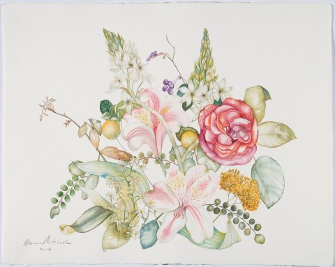 Star of Bethlehem, One Rose