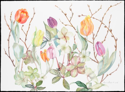 Hellebores and Tulips