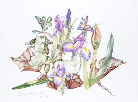 Watercolor 22"x30" Spring flowers plus indoor plants--a study in color contrasts, not what is usually on view in the garden at the same time.