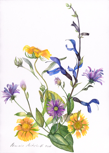 So many flowers, so little summer. I'm painting all day, but more and more flowers need to be painted. A wonderful complaint to have, that's for sure!