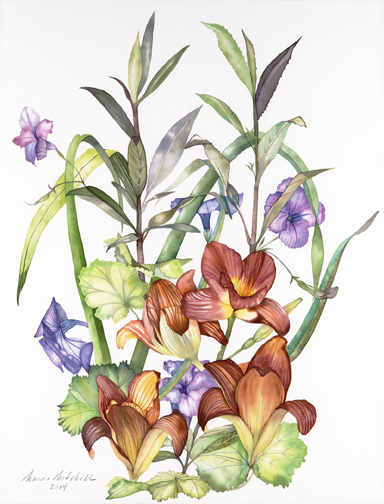 Deeper color as summer grows warmer, days long. 