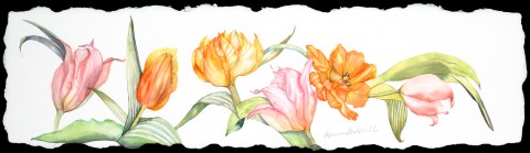 Sometimes one kind of flower takes over my imagination. This happens most often in the spring, and tulips are often the first and brightest omen of things to come. 